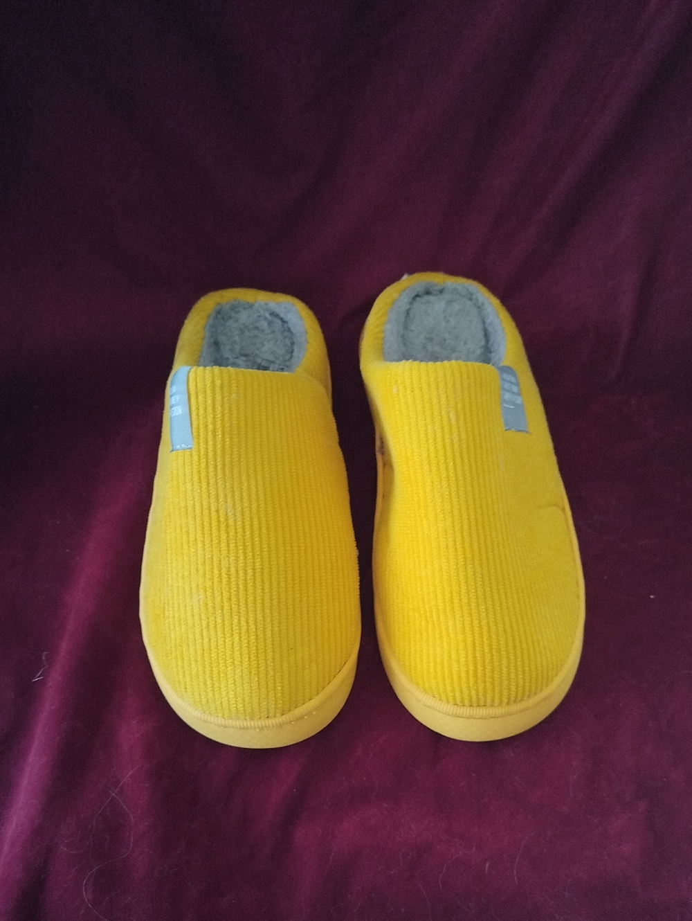 Women's Honey Slippers